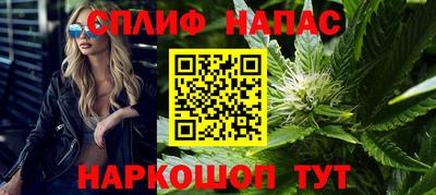 apvp Пугачёв